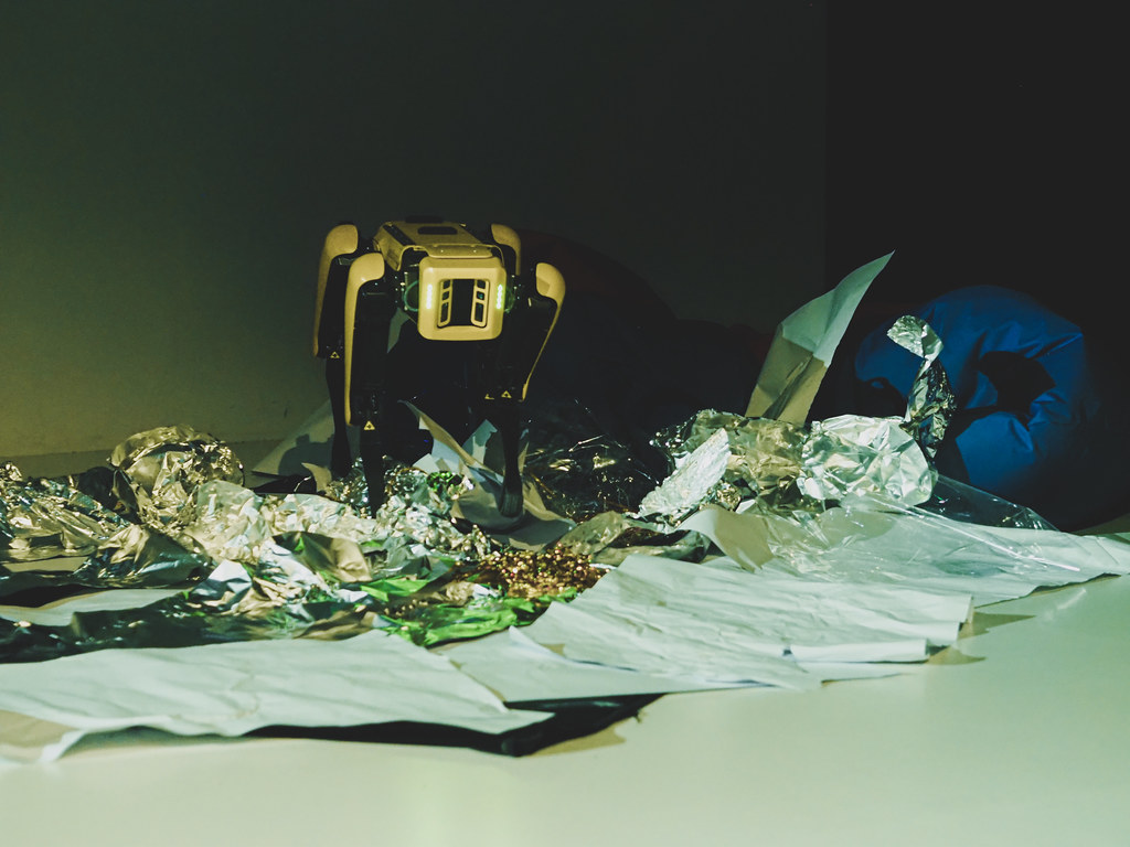 Decoding the Dynamics of Regional Politics in India