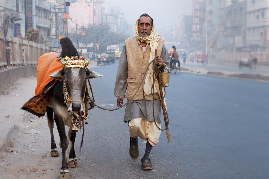 Delhi’s Electoral Landscape: A Comprehensive Analysis of the Upcoming Assembly Elections