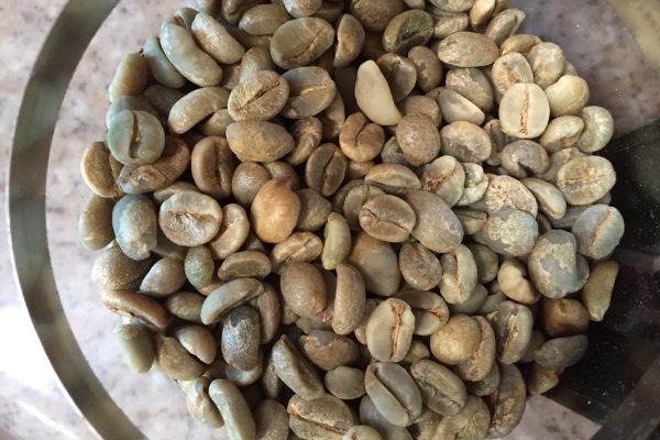 Election Fever Grips Regional Politics in India