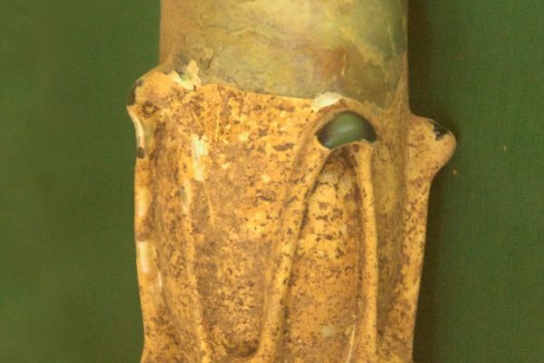 Regional Politics in India: A Comprehensive Analysis of Recent Campaigns