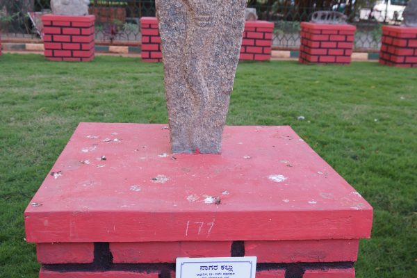 Karnataka Governments Oversight On Stadium Safety Measures Questioned