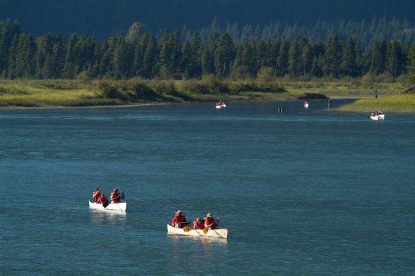 Fresh Allegations Surround Saurav Ganguly