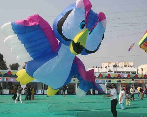 Gujarat Government Boosts Cricket Infrastructure Development