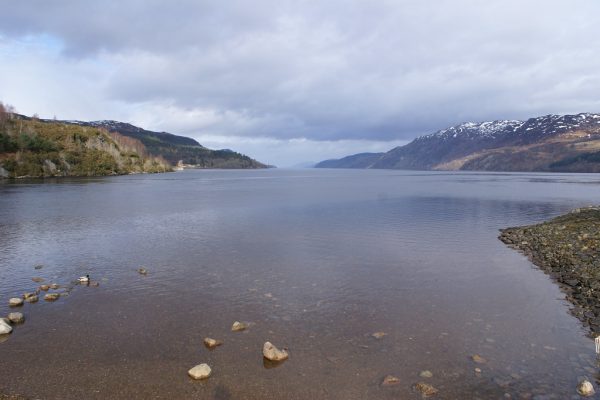 Fresh Allegations Surround Punjab Cricket Association Elections