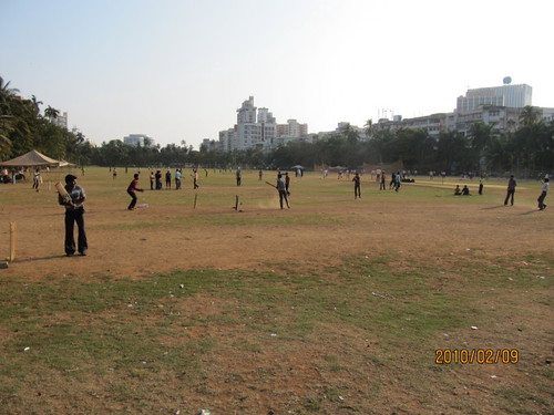 Mumbai Cricket Association Faces Governance Issues Again