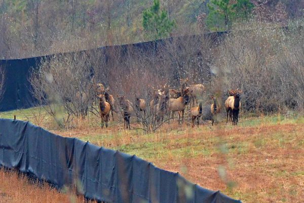 Federally Funded Initiatives Impact Boxing Governance