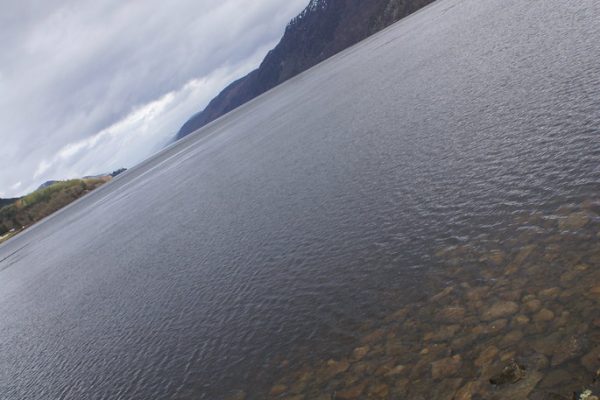 Fresh Allegations Surround Mandeep Singh’s Selection