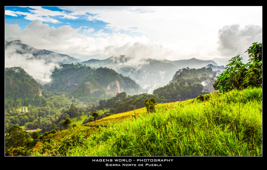 Rise of Regional Politics in Southern India