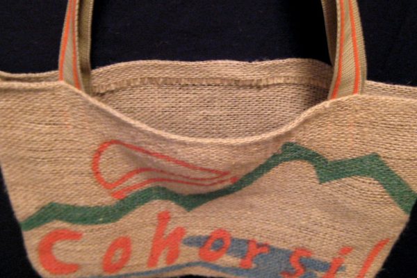 Rising Star of Regional Politics: The Emergence of Young Leaders in India