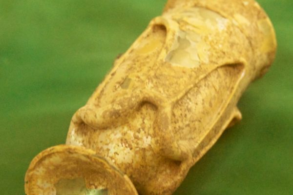 Regional Politics in India: An Analysis of Campaign Strategies