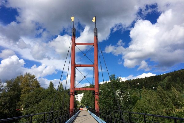 Regional Politics in India: A Comprehensive Analysis of Campaign Strategies