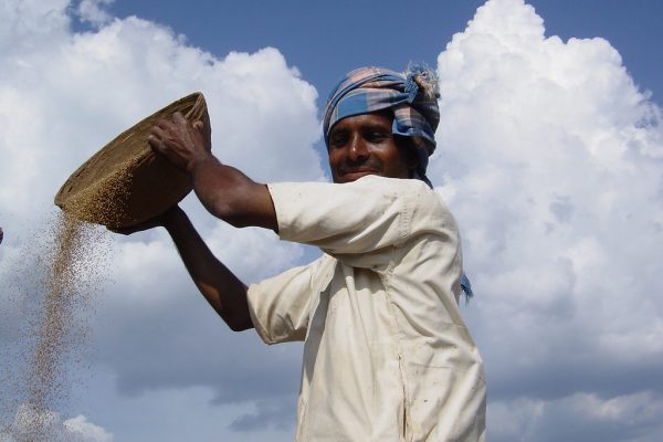 Rajasthan Panchayat Elections: A New Era for Rural Governance