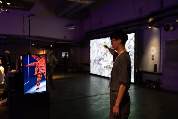 Rising Voices in Regional Politics: A Deep Dive into Indian State Elections