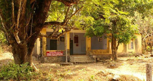 Kerala Panchayat Polls Unveil Emerging Trends