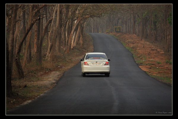 Karnataka Civic Polls Reveal Urban Voting Trends