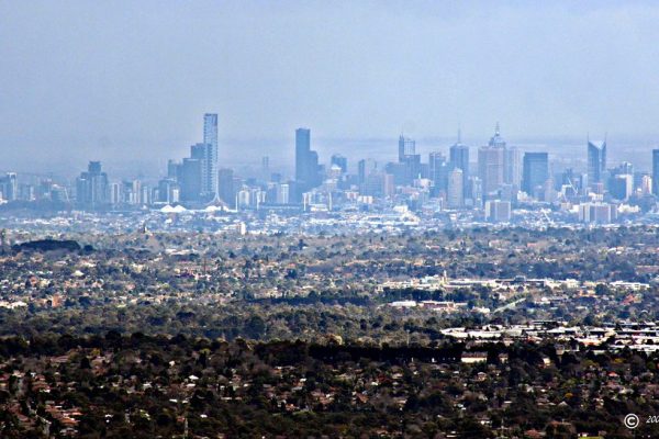 Fresh Perspectives Surround Maharashtra Cricket Association