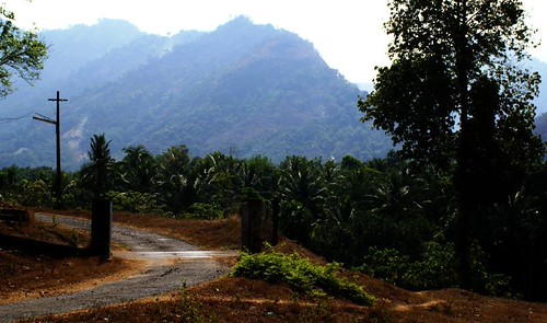 Kerala Panchayat Polls Witness Increased Voter Turnout Rates