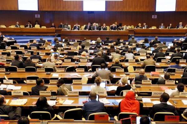 Governing Bodies Scrutinize Recent Umpiring Decisions