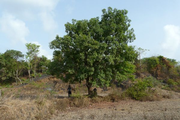 Gujarati Voters Gear Up For Municipal Elections Amidst Tight Security