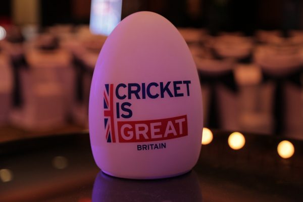 Karnataka Cricket Governance Faces Legislative Scrutiny Again