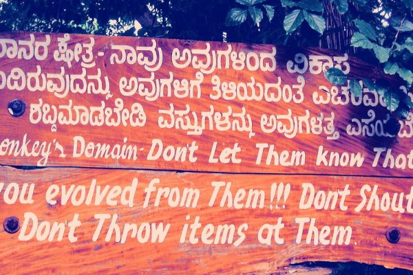 Mysore Karnataka Politicians Campaigning Through Cricket Teams