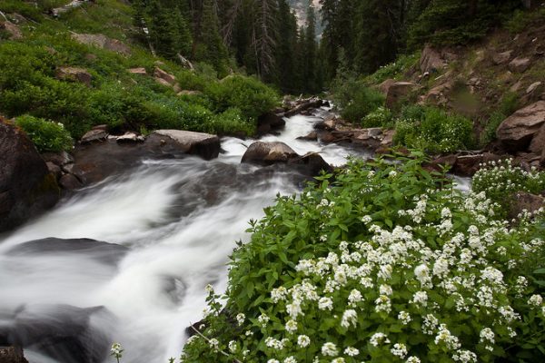 Fresh Perspectives Surround Virat Kohli’s Captaincy Style