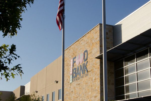 Fresh Elections Amidst Cricket Controversy Unfold Slowly