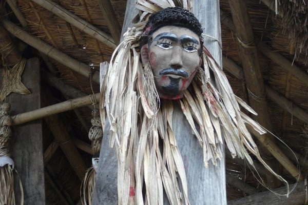 Nagaland Olympic Association Faces Governance Issues