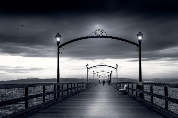 Focal Perspectives Surround Dhoni