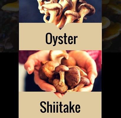 Fresh Perspectives Emerge Around Sourav Ganguly