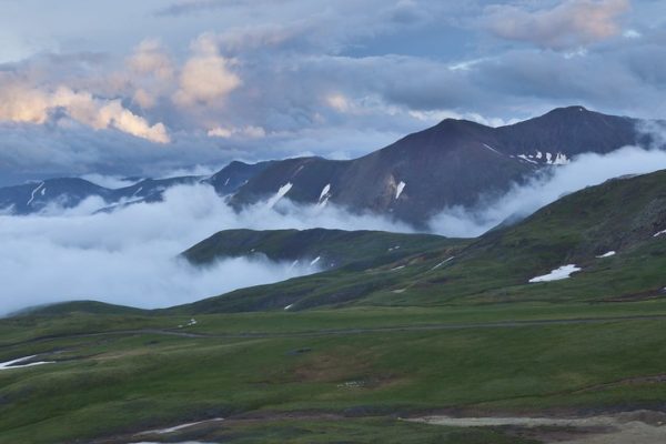 Fresh Perspectives Surround Kumble