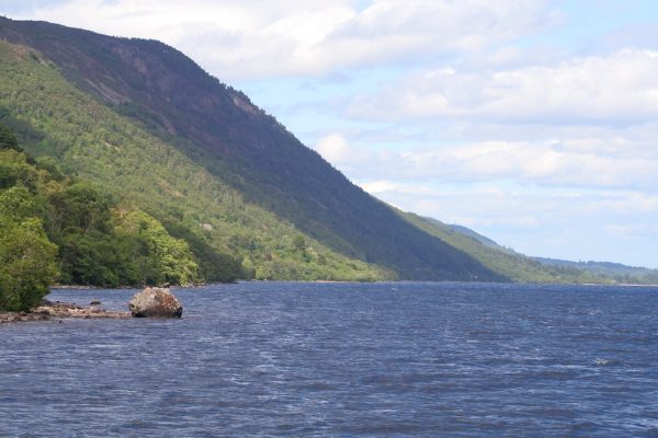 Fresh Allegations Surround Virat Kohli