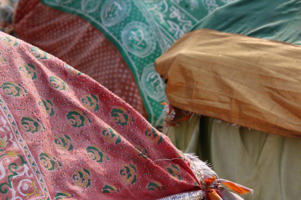 Gujarat Municipality Election Outcome Analysis