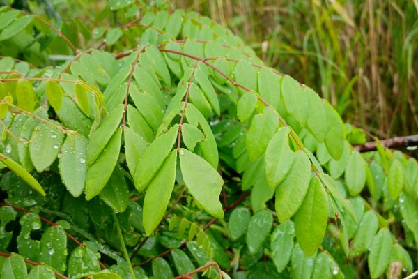 Kerala Electoral Landscape Shifts Dramatically Since 2021