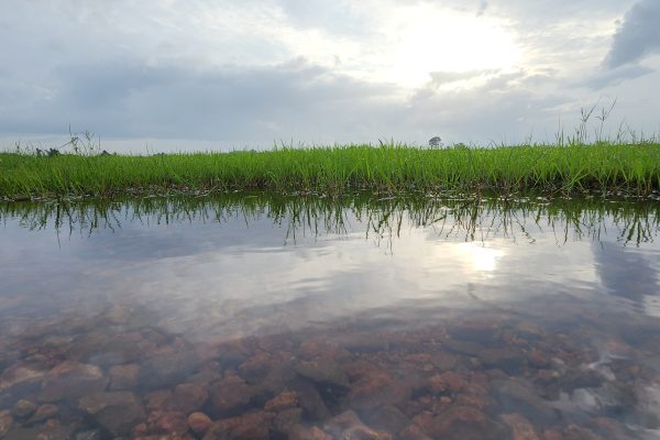 Kerala Electoral Reforms Gather Momentum Slowly