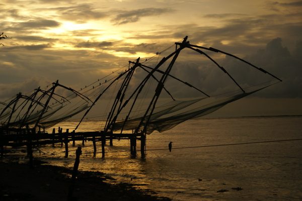 Kerala’s Panchayat Polls Reveal Trends