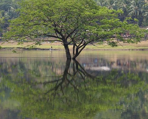 Kerala Panchayat Polls Witness Surge