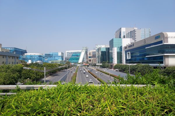 Gurugram Municipal Elections Spark Debate Over Voting Rights