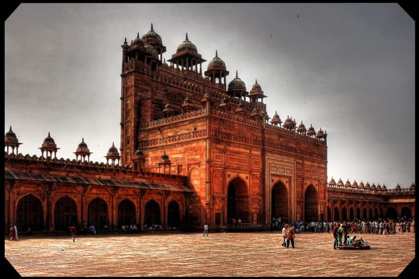 Gujarat Municipal Elections Sparkling Insights