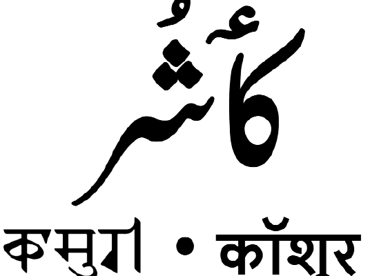 Kashmiri Voters Await Verdict On Delimitation Process