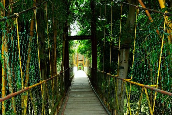 Karnataka Bye Election Results Analyzed