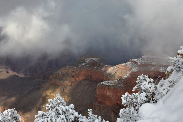 Frequently Overlooked Electoral Trends