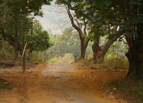 Kerala Panchayat Polls Spotlight Local Governance Initiatives