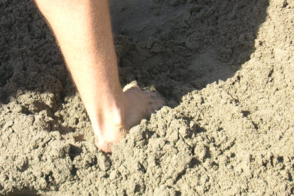 Footholds Garnered By Regional Parties