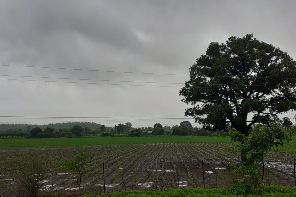 Vidarbha’s Electoral Dynamics Unravelled Through Data Analysis