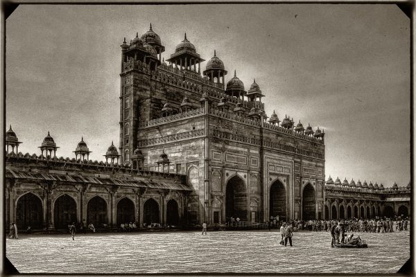 Gujarat Municipal Elections Witness Significant Increase