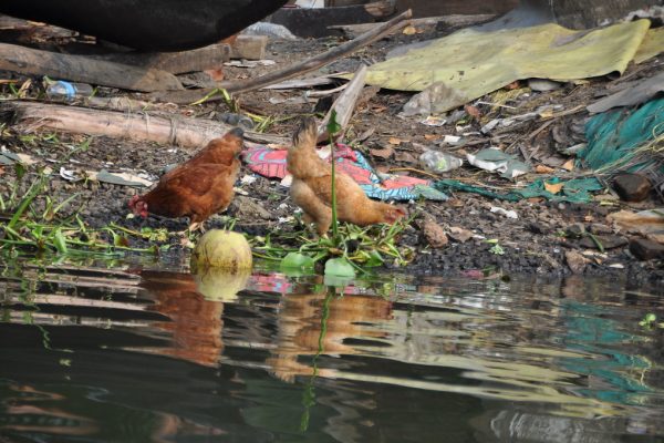 Kerala Civic Polls Emerge Crucial Battlefield