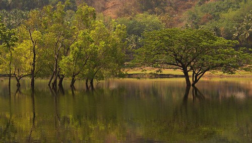 Kerala Panchayat Polls Reflect Shifting Voting Patterns