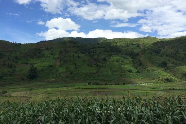 Nagaland Governance Reforms Gain Momentum Slowly