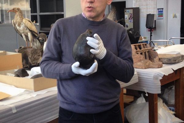 Forthcoming Maharashtra Legislative Assembly Elections